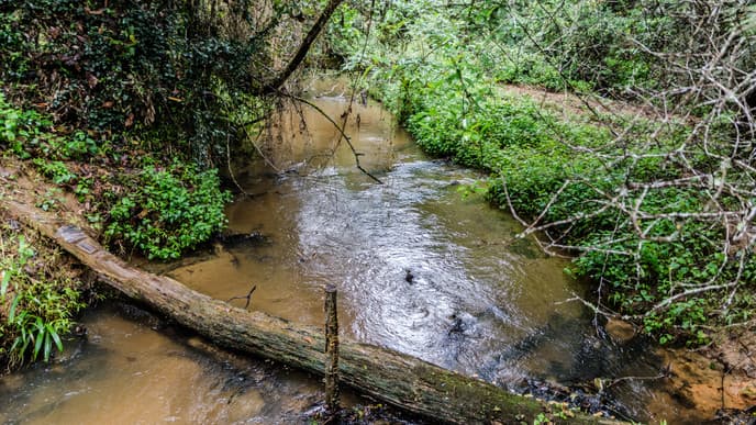 Exciting Wildlife Adventures