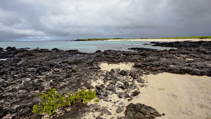 History meets nature on Santa Cruz