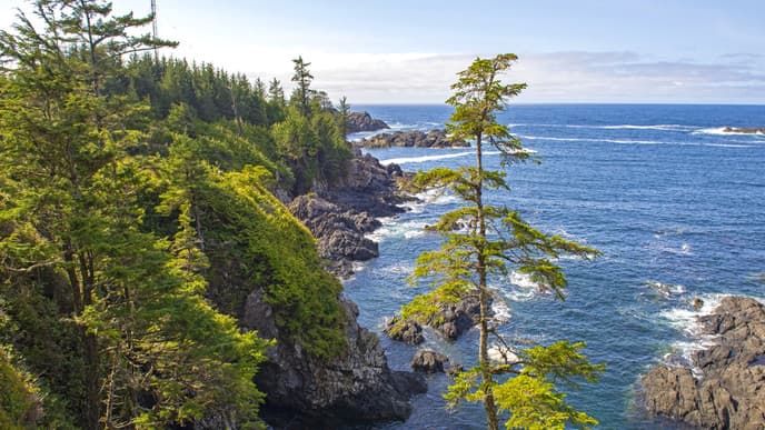 Explore the Wild Pacific Trail