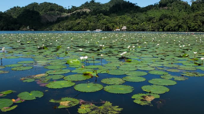 Experience A Different Side to Guatemala