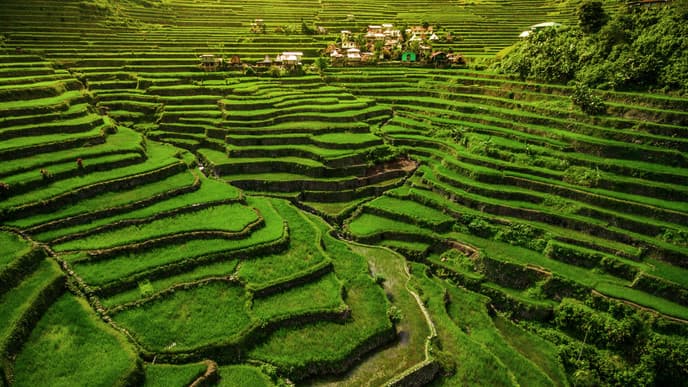 Fascinating insight into Igorot tribal life