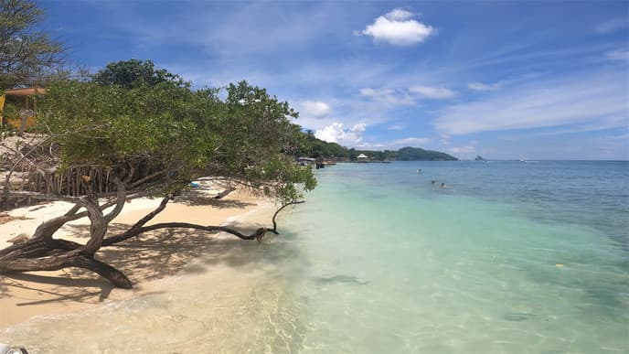 Food, Mangroves and a Mud-Volcano