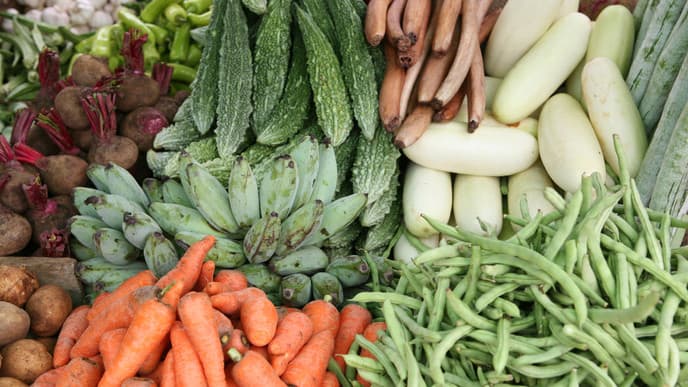 Explore local farmlife