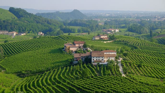 Wine tasting on the road to Friuli