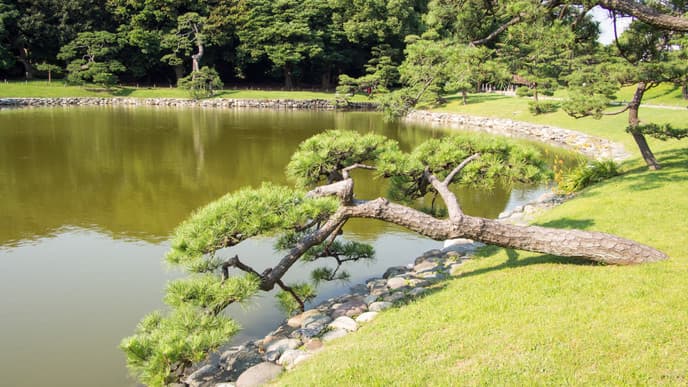 Tokio - zwischen Tradition und Moderne