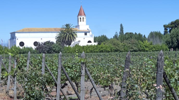 How about some Chilean Wine?