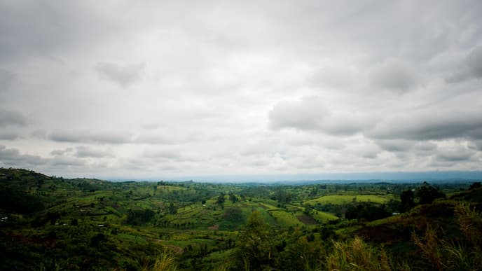 Drive To Beautiful Kibale National Park