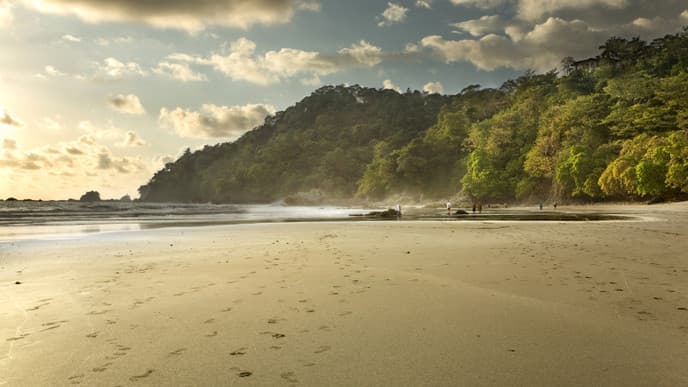 Ein freier Tag im Manuel Antonio Nationalpark