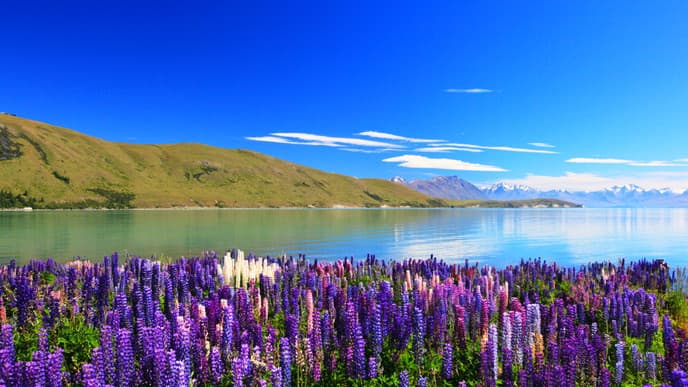 Die Milchstraße im Himmelsreservat beobachten