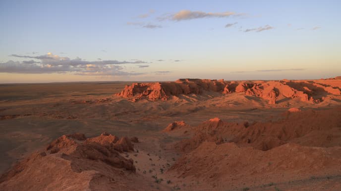 The legacy of dinosaurs