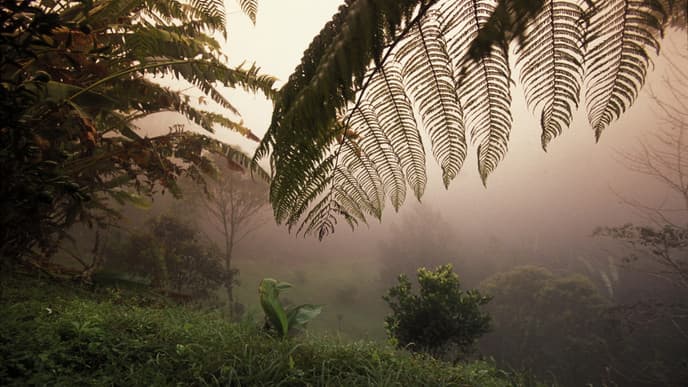 Ausflug ins Naturreservat Chicaque