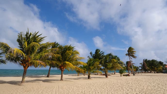 The road to Placencia