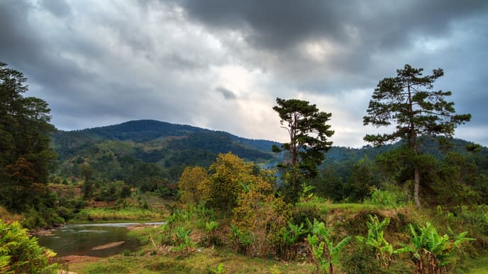 Auf Entdeckungstour im Ranomafana Nationalpark