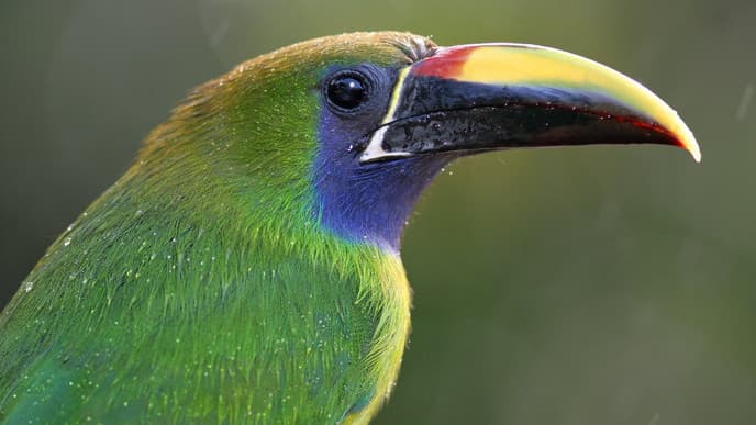 A scenic journey to Monteverde