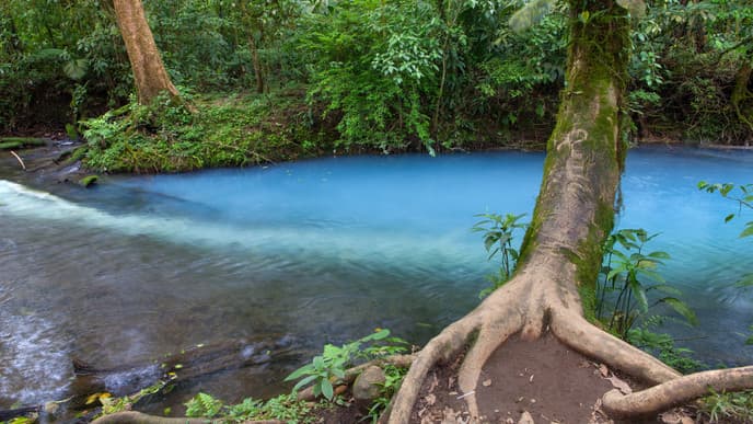 Beautiful nature in Bijagua de Upala