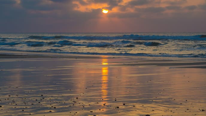 Discover the treasures of the south