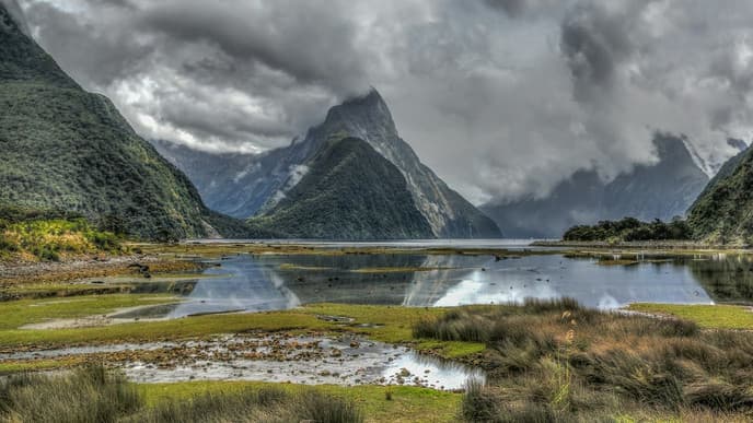 Cruise on the Milford Sound