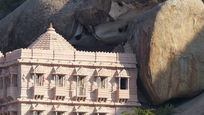 Leopard safari & royal dining