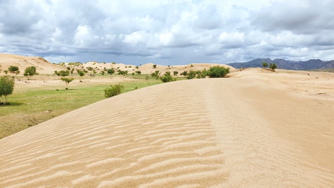 Bayan Gobi Sand Dunes