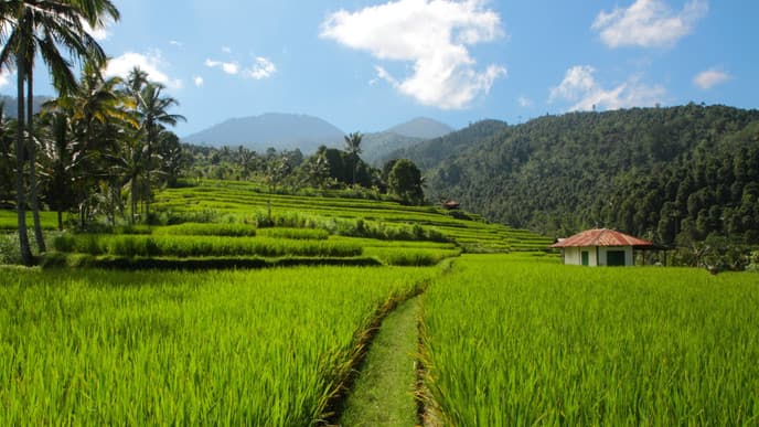 Unforgettable outdoor adventures