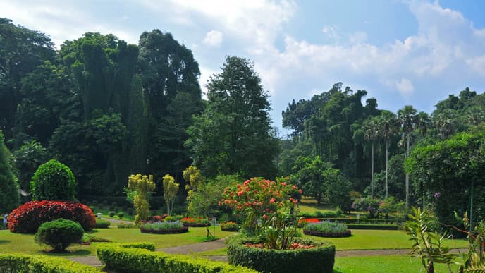 A day at Peradeniya Botanical Gardens
