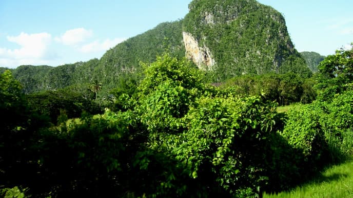Journey to Viñales