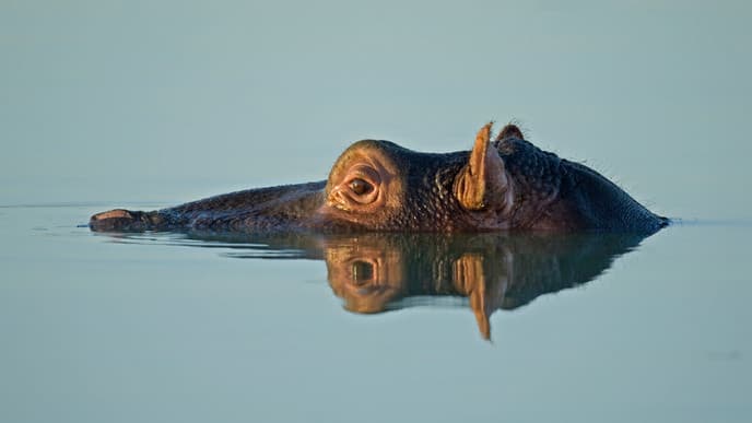 Entlang der Panorama Route