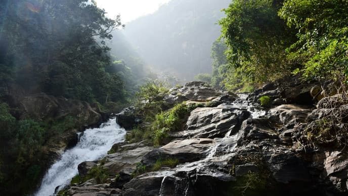 Waterfall swim & cooking class