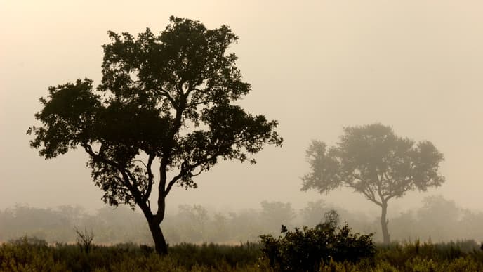 Eisvögel & Naturpfade
