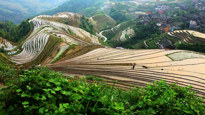 Hike Across China's Most Breathtaking Rice Terraces