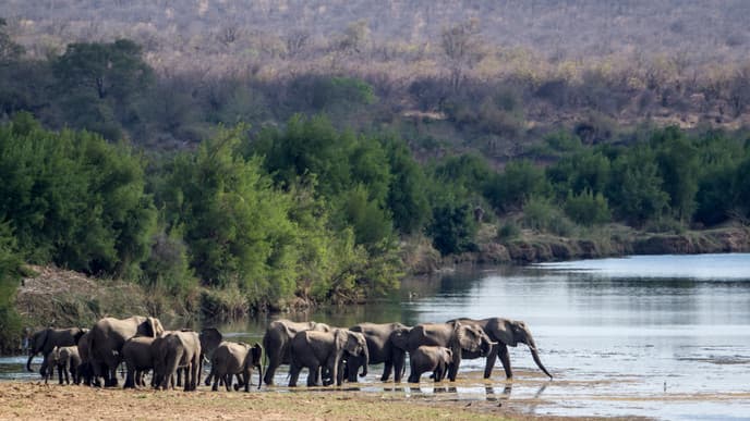 Das Satara Rest Camp erkunden