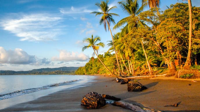 Drake Bay: Regenwald und Mangroven