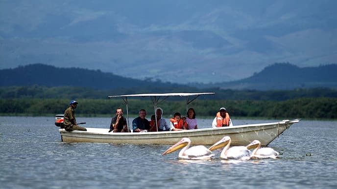 See Hippos at Lake Naivasha