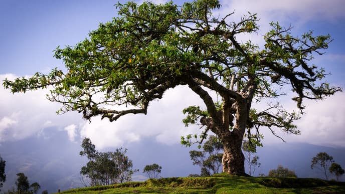 Willkommen in Ecuador!