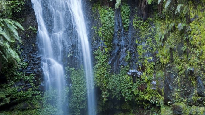 Ausflug in den Montagne d'Ambre Nationalpark