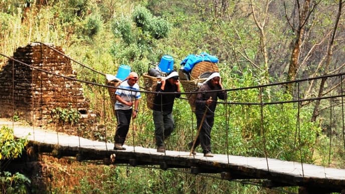 Through the forest to Bamboo
