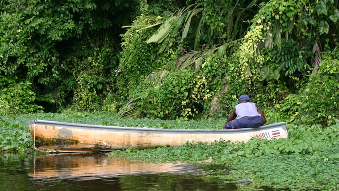 The otherworldly beauty of Tortuguero