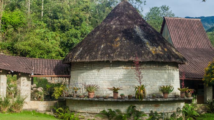 Experience the local way of life