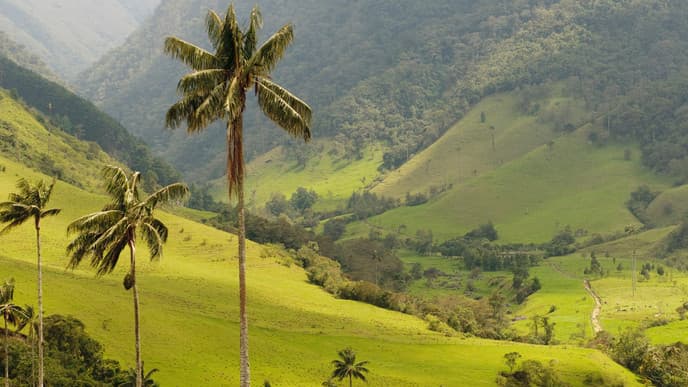 Landschaftliche Eindrücke und Kunsthandwerk im Cocora Tal