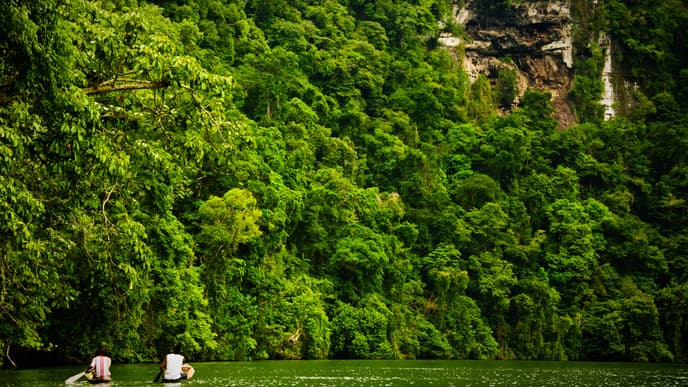 Explore the sweet Rio Dulce