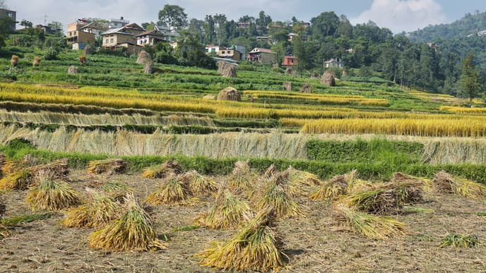 Lokale authentische Stadt