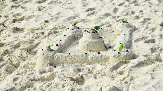 Free day on the island