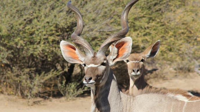 Auf nach Namibia