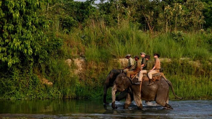 Enjoy The Beauty Of Nature In Chitwan