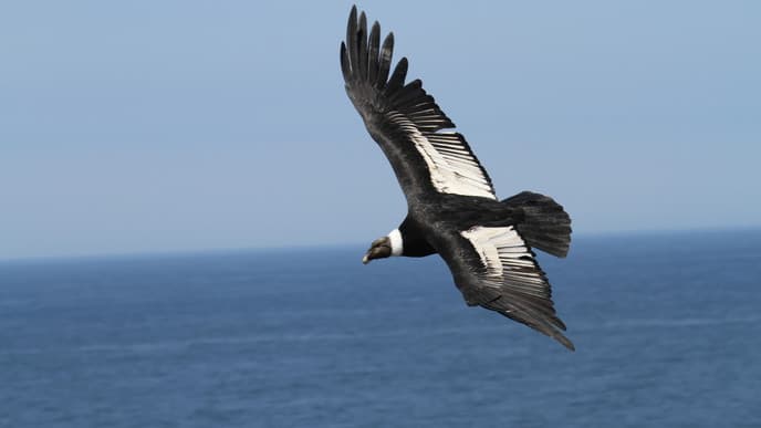 Welcome to the San Fernando Reserve