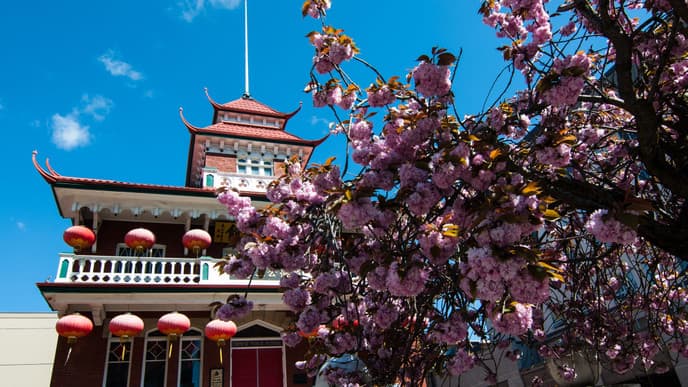 See the Sights of British Columbia's Capital