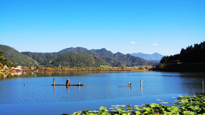 Journey Across Tranquil Farmlands