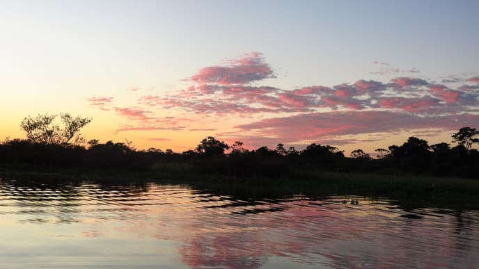 Hike in Search of Anacondas