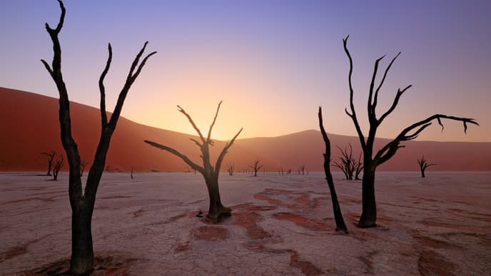 Feel the magic of Sossusvlei