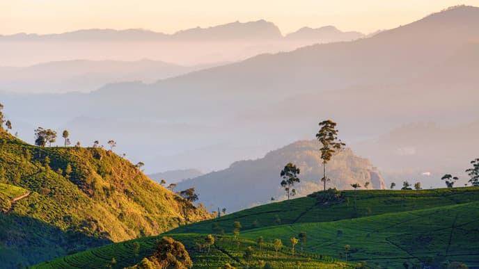 Hike Up To Lipton's Seat To Watch The Sunrise